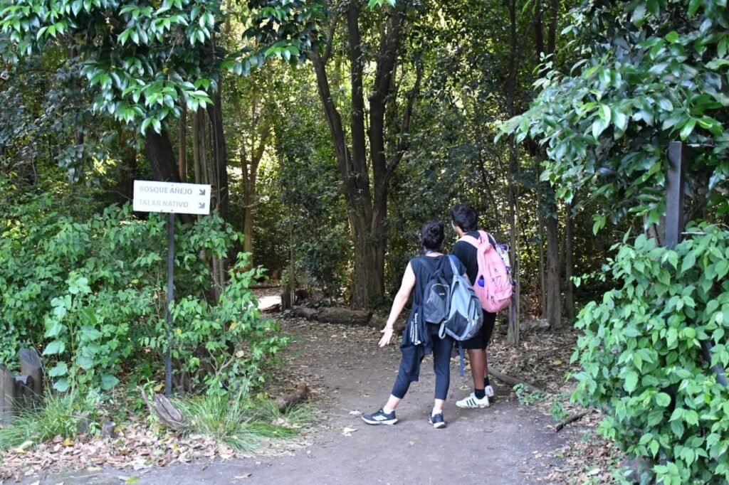 pareja camino bifurcado