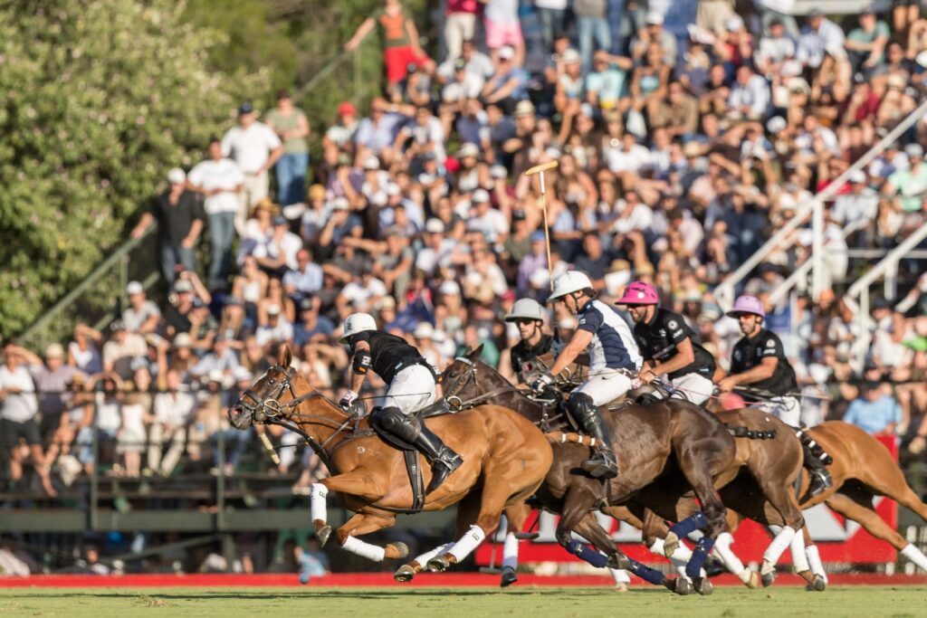 caballos jugando polo